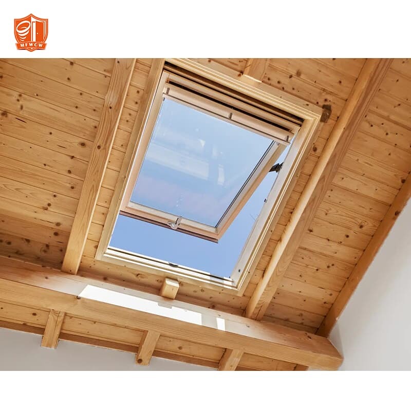 skylight window