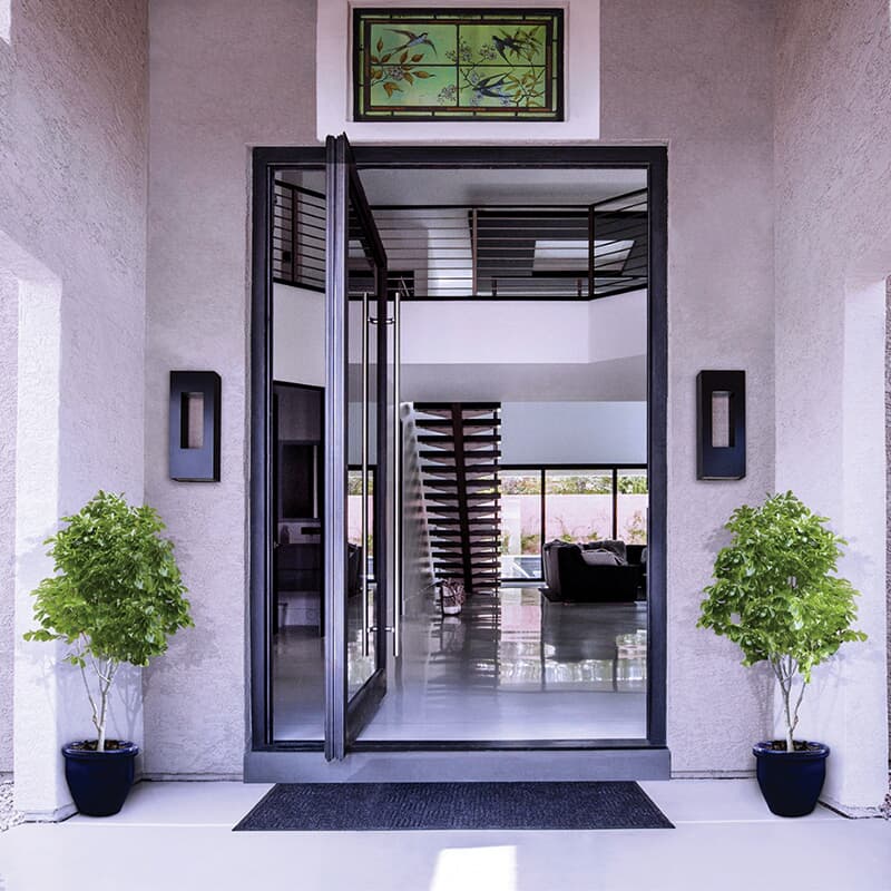 minimalist framed glass swing door